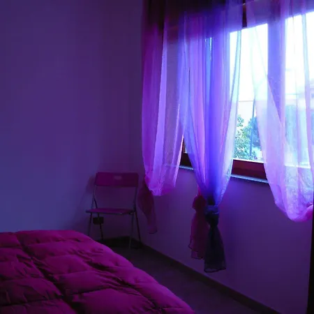 Bed & Breakfast New Triscele